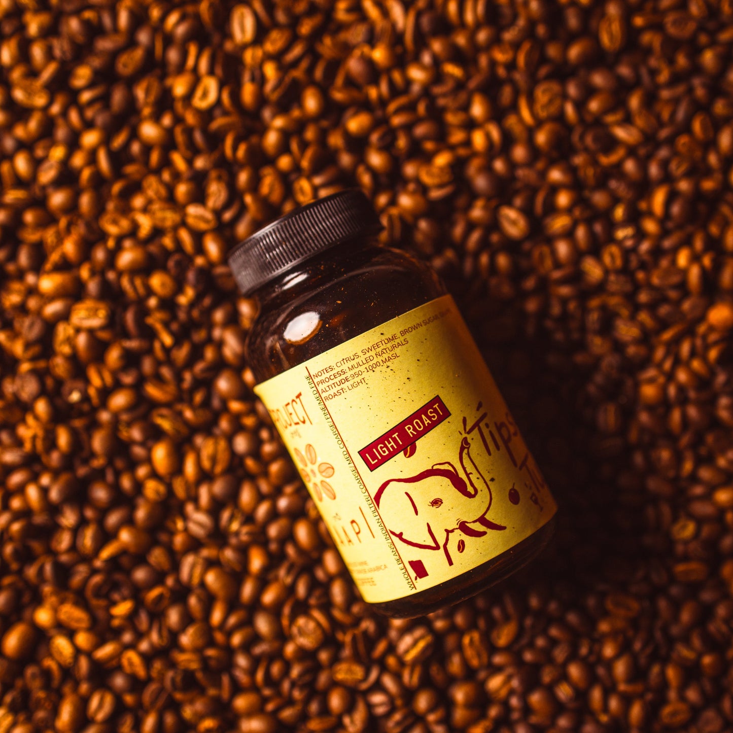 Light Roast Tipsy Tuskers