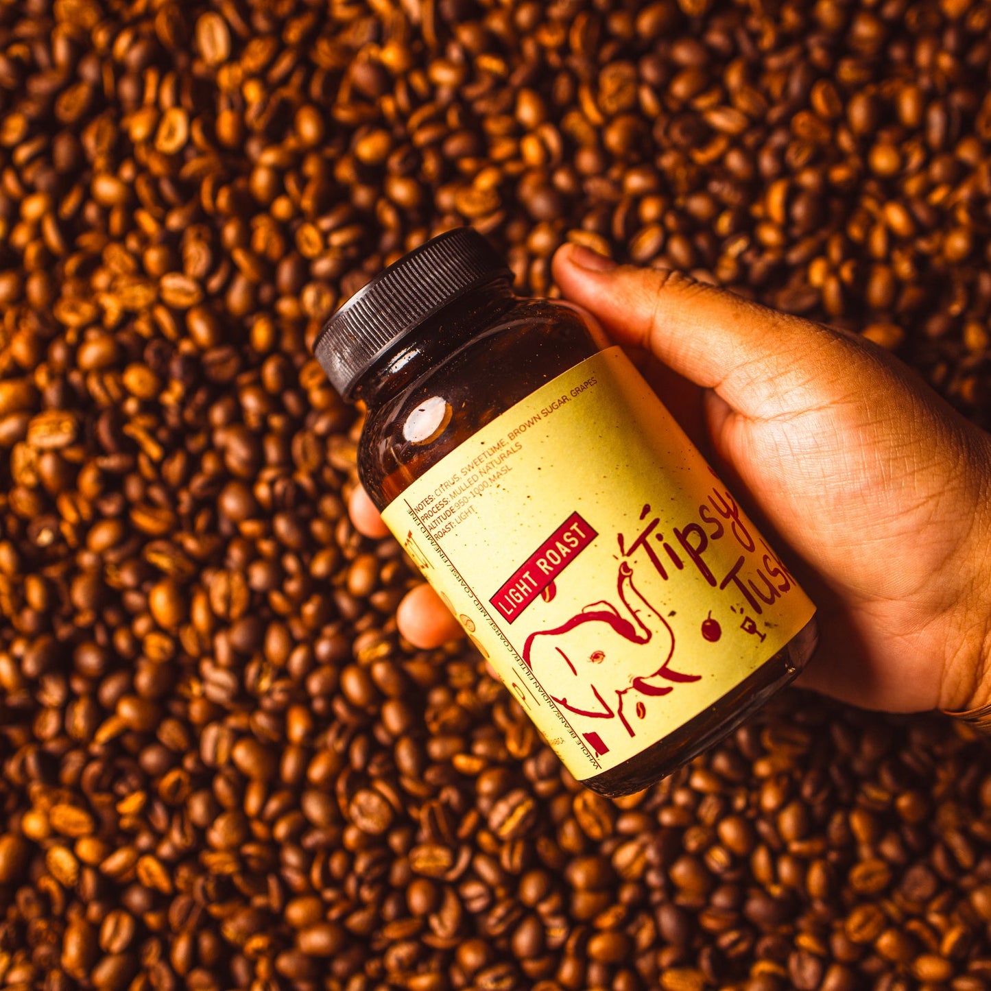 Light Roast Tipsy Tuskers