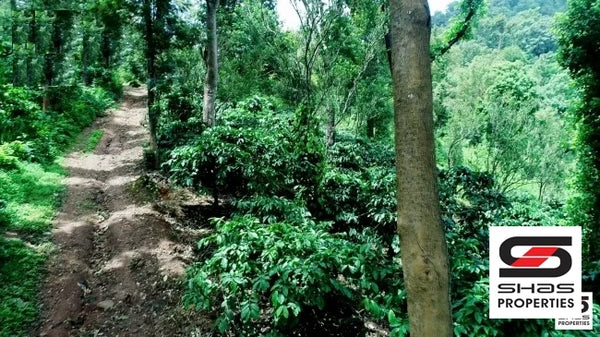 Ponnampet estate